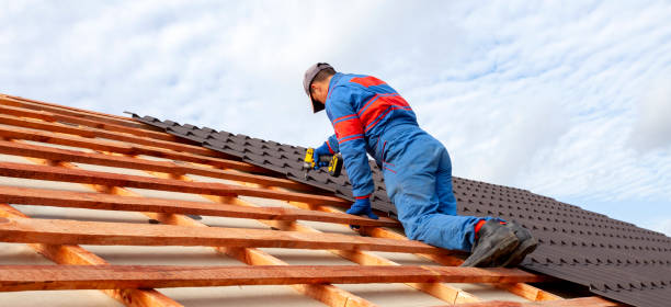 Best Roof Leak Repair  in New Madrid, MO